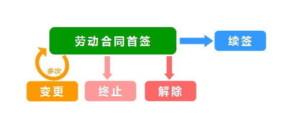 劳动合同流程图.jpg